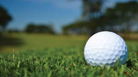 Golf ball resting on golf turf